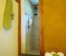 Remodeled bathoom with custom tile shower, cedar trim, and accent wall with clay paint